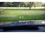 BMW 3-Serie 320i Executive M-Sport Plus , Schuif/Kanteldak, HUD, Sfeerverlichting