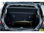 Ford Fiesta 1.0 EcoBoost Titanium | ACC | B&O | Navi | Camera | Heel veel opties!!