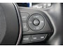 Toyota RAV4 2.5 Hybrid Bi-Tone | Trekhaak