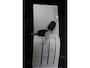 Dacia Sandero Stepway 1.0 TCe 100 ECO-G Expression | Dodehoek detectie | Apple CarPlay & Android Auto | Camera |