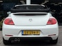 Volkswagen Beetle Cabriolet 1.4 TSI Sport | DSG | CarPlay | Leder | Xenon