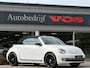 Volkswagen Beetle Cabriolet 1.4 TSI Sport | DSG | CarPlay | Leder | Xenon