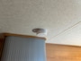 Elnagh P250 610QC0|NAVI|ELEK RA|DOUCHE|TOILET|2 BEDDEN|