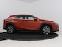 Lexus UX 250h F Sport Line