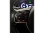 Kia Niro EV e-Niro DynamicPlusLine 64 kWh 1E EIGN/ECC/3 FASE/99,4%SOH/SCHUIFDAK