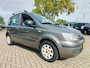 Fiat Panda 1.2 Edizione Cool
