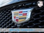 Cadillac Escalade | Platinum Sport | 600 | 6.2L V8 | Export levering mogelijk 55" OLED | Executive Second Row | AKG 42-speaker | Dolby Atmos | 2nd row entertainment | Night Vision