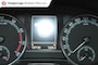 Skoda Fabia 1.0 TSI BUSINESS EDITION AIRCO ANDROIDAUTO/APPLECARPLAY CRUISECONTROLE