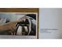MINI Countryman 2.0 Cooper SE ALL4-PANORAMA-LEDER-HARMANKARDON-CAMERA , schuifdak/ pano, stoelverwarming, elec stoelverst met geheugen, elec koffersluiting, privacyglas, Harman Kardon, cruise, lederbekleding, keyless entry, camera achter, pdc