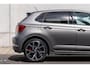 Volkswagen Polo 2.0 TSI GTI