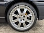 Volkswagen Golf | Unieke collectie VW Golf 2/3/4/5 GTI + VW Polo GTI Cup Edition