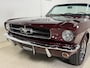 Ford Mustang 260 Convertible M1005