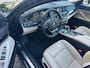 BMW 5-Serie 520I HIGH EXECUTIVE+Pano dak Leer