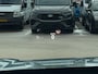 Ford Explorer Limited Edition Extended Range RWD 79 kWh 200 pk | Navigatie | Warmtepomp | Inklapbare trekhaak | Head-up Display | Elektrisch verstelbare bestuurdersstoel met geheugen en massagefunctie