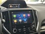 Subaru Forester 2.0i e-BOXER Comfort Automaat/Trekhaak/Parkeerhulp/Navi/Camera