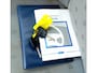 Ford Fiesta 1.25 16V 3DR Celebration