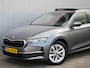 Skoda Octavia Combi 1.5 TSI MHEV Business Edition Plus 150 Pk Automaat Navi / DAB / Apple Carplay / Camera / Stoelverwarming / Pano-dak
