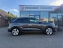 Kia Niro EV E-Niro DynamicPlusLine 64 kWh|rijklaar prijs|100%soh