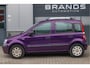 Fiat Panda 1.2 Edizione Cool Airco Unieke kleur Elk ramen