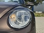 Volkswagen Beetle Cabriolet 1.2 TSI Design BlueMotion | Camera | Stoelverwarming | CarPlay | Cruise Control