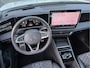Volkswagen Tiguan 272pk 1.5 eHybrid R-Line Pano Tr-haak IQ-light 20-Inch