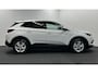 Opel Grandland X 1.2 Turbo Business Executive CAMERA TREKHAAK CARPLAY LM NAVI ECC CRUISE.