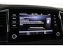 Skoda Karoq 1.5 TSI ACT Business Edition Plus Trekhaak, ACC, Camera, DAB, Apple Carplay/Android Auto