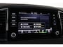Skoda Karoq 1.5 TSI ACT Business Edition Plus Trekhaak, ACC, Camera, DAB, Apple Carplay/Android Auto