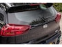 Kia Niro EV e-Niro DynamicLine 64 kWh | SOH | Camera | Carplay |