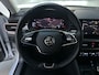 Skoda Kamiq 1.0 TSI 110pk Business Edition LED Trekhaak Camera Stoelverwarming Navigatie