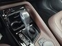 BMW X1 sDrive20i Centennial High Executive Automaat 192PK - Lederen bekleding - Panoramadak - Stoelverwarming - 18 inch LM velgen - 12 maanden garantie