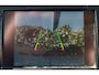 Fiat Ducato 3.0 2.3 MJ 130pk L2H1 Airco/Navigatie/Trekhaak