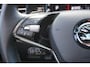 Skoda Kamiq 1.5 TSI 150pk DSG ACT Business Edition | Panoramadak | Trekhaak | Navigatie | Camera | Adaptive Cruise | Clima | stoel/stuur Verwarming