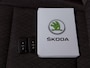 Skoda Karoq 1.5 TSI ACT DSG AUT. Business Edition Plus TREKH | STOEL/STUURVERW | ADAPT.CRUISE | CARPLAY | DIGI.DASHB | KEYLESS | ELEK.A.KLEP