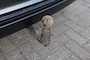 Audi A6 Avant 55 TFSIe Competition 367pk / Panodak/ Trekhaak wegklb./ 21 Inch LM / Matrix LED