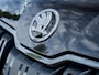 Skoda Kodiaq 1.5 TSI Business Edition | Trekhaak | Achteruitrijcamera | Canton Audio | Apple Carplay | Android Auto | Navigatie | DAB |