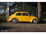 Volkswagen Kever Custom Special