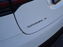 Tesla Model X 100D | Leder | Adapt. Cruise | Elek. Stoelen | PDC + Camera | Soft-close | Clima | Multimedia/Navi |