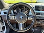 BMW X1 SDrive20i Centennial High Executive, Panorama dak