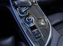 Renault Espace 1.6 TCe INITIALE PARIS | AUTOMAAT | PARKEER CAMERA | LEDER | BLINDSPOT | CRUISE/CLIAMTE CONTR !