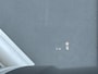 Volkswagen T-Roc 1.5 eTsi 2x R-Line First Edition Black Style Head up Display / Trekhaak / Panoramadak