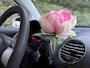 Volkswagen Beetle New 2.0 *Herbie* Cruise, 17” LMV, Nw. APK