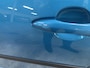 Toyota Prius 1.8 Plug-in Business Plus