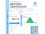 Tesla Model S 100D + EAP + SOH 89.1%