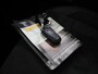 Ford EcoSport 1.0 EcoBoost ST-Line | Navigatie | Achteruitrijcamera | B&O Audio | Winterpakket |