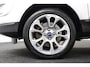 Ford EcoSport 1.0 Ecoboost 125 pk Titanium Winterpakket/ECC/DAB/Carplay/B&O