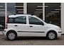 Fiat Panda 1.2 Edizione Cool, Airco, Carplay, Elek. ramen, Trekhaak, Prijs Is Rijklaar Inclusief Nieuwe APK