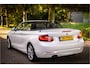 BMW 2-Serie Cabrio 228i High Executive Leder Windscherm