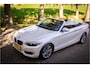 BMW 2-Serie Cabrio 228i High Executive Leder Windscherm
