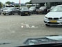 BMW X1 xDrive23i M Sport Panoramadak Trekhaak Head-Up Display Leder ACC Stoelverwarming Harman-Kardon Carplay 360 Camera Stuurwielverwarming